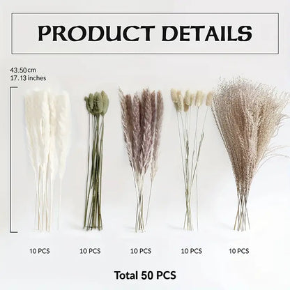 Real Touch Dried Flower Set - 50pcs Artificial Rabbit Tail Reed Set (90cm)