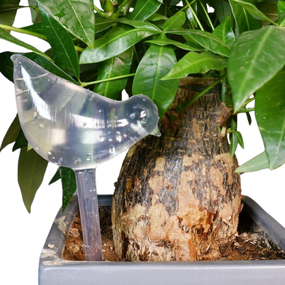 Auto Drip Irrigation System Automatic Watering Plants Flower Indoor Gardening Household Waterer Bottle Greenhouse Home Wholesale