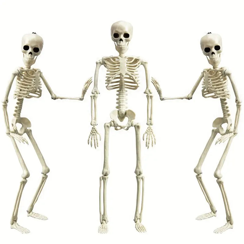 Set 3pcs 40.64cm Posable Halloween Skeleton Decorations Haunted Houses, Graveyards, and Indoor Outdoor