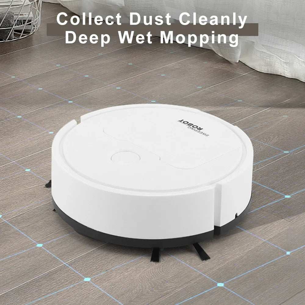Automatic Intelligent Sweeping and Mopping Robot