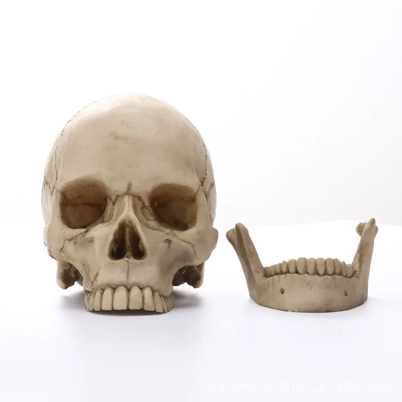 Human Skull Statue: Intriguing Home Decor & Halloween Accent