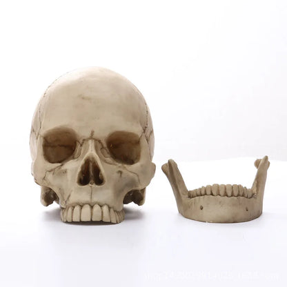 Human Skull Statue: Intriguing Home Decor & Halloween Accent