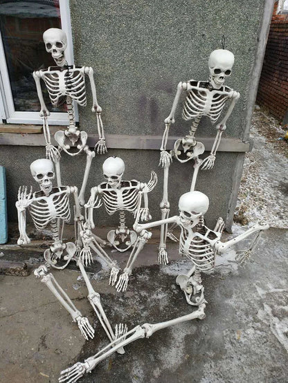 Life Size Halloween Skeleton Decoration