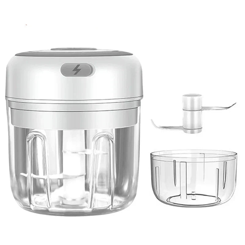 Mini Electric Meat Grinder and Garlic Crusher