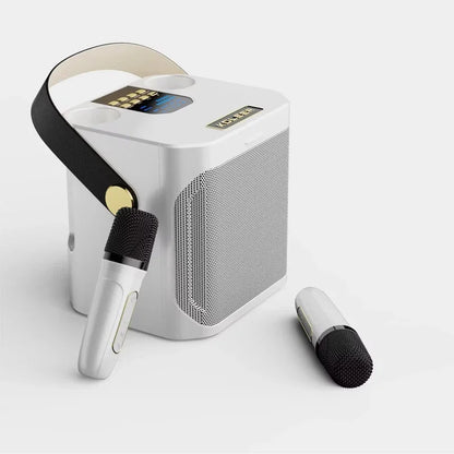High Power Karaoke Bluetooth Speaker with Dual Microphone