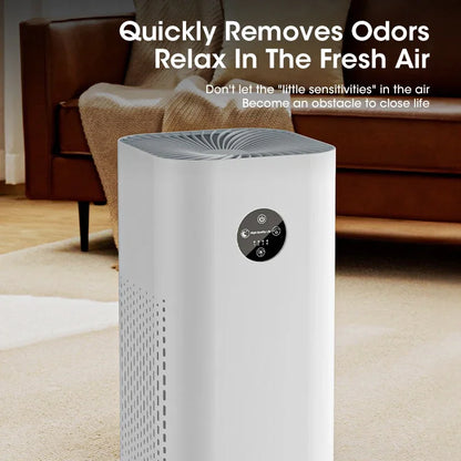 Air Purifier Negative Ion Pet Odor Removal