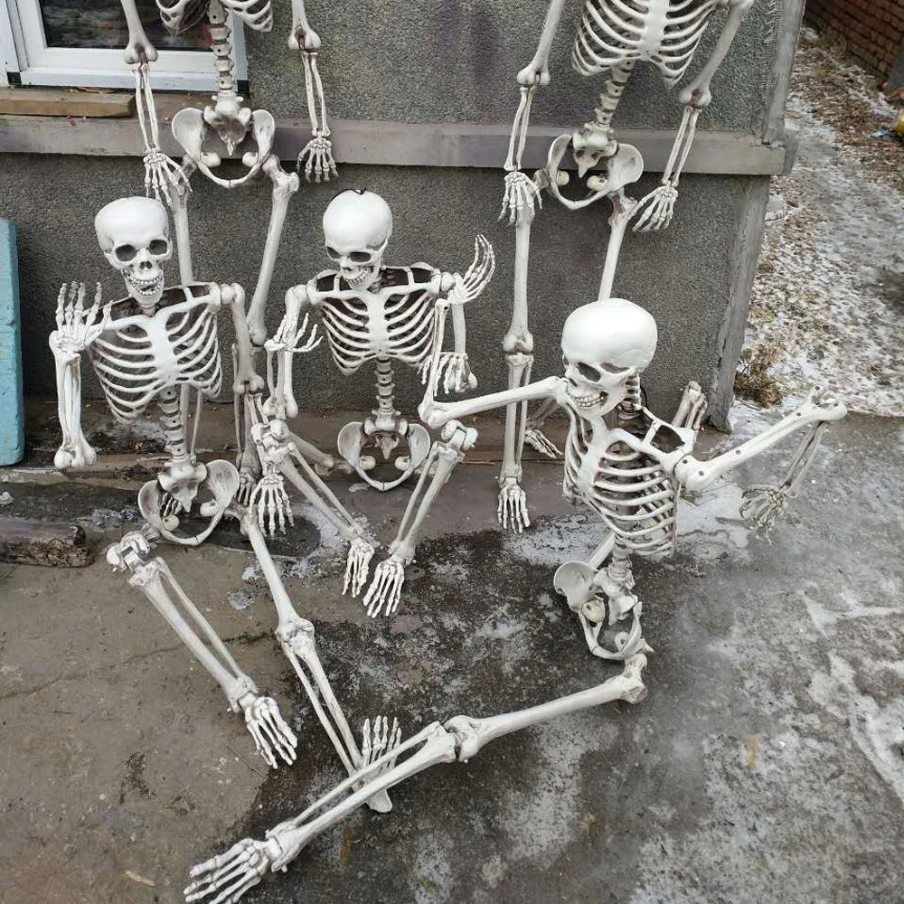 Life Size Halloween Skeleton Decoration