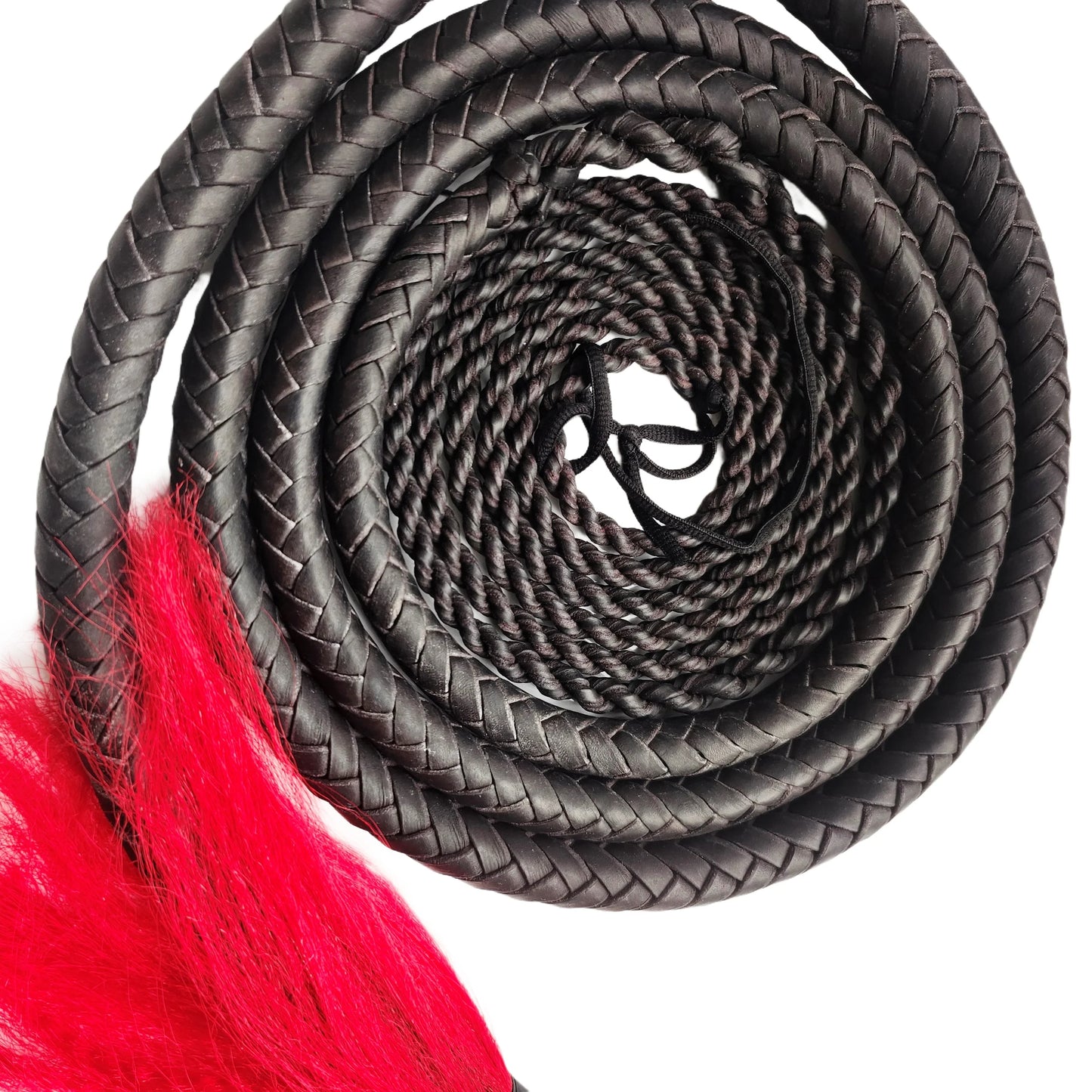 Martial Art Wushu Whip