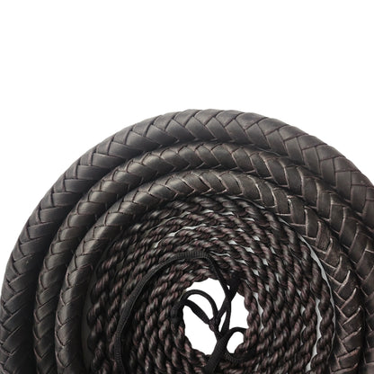 Martial Art Wushu Whip