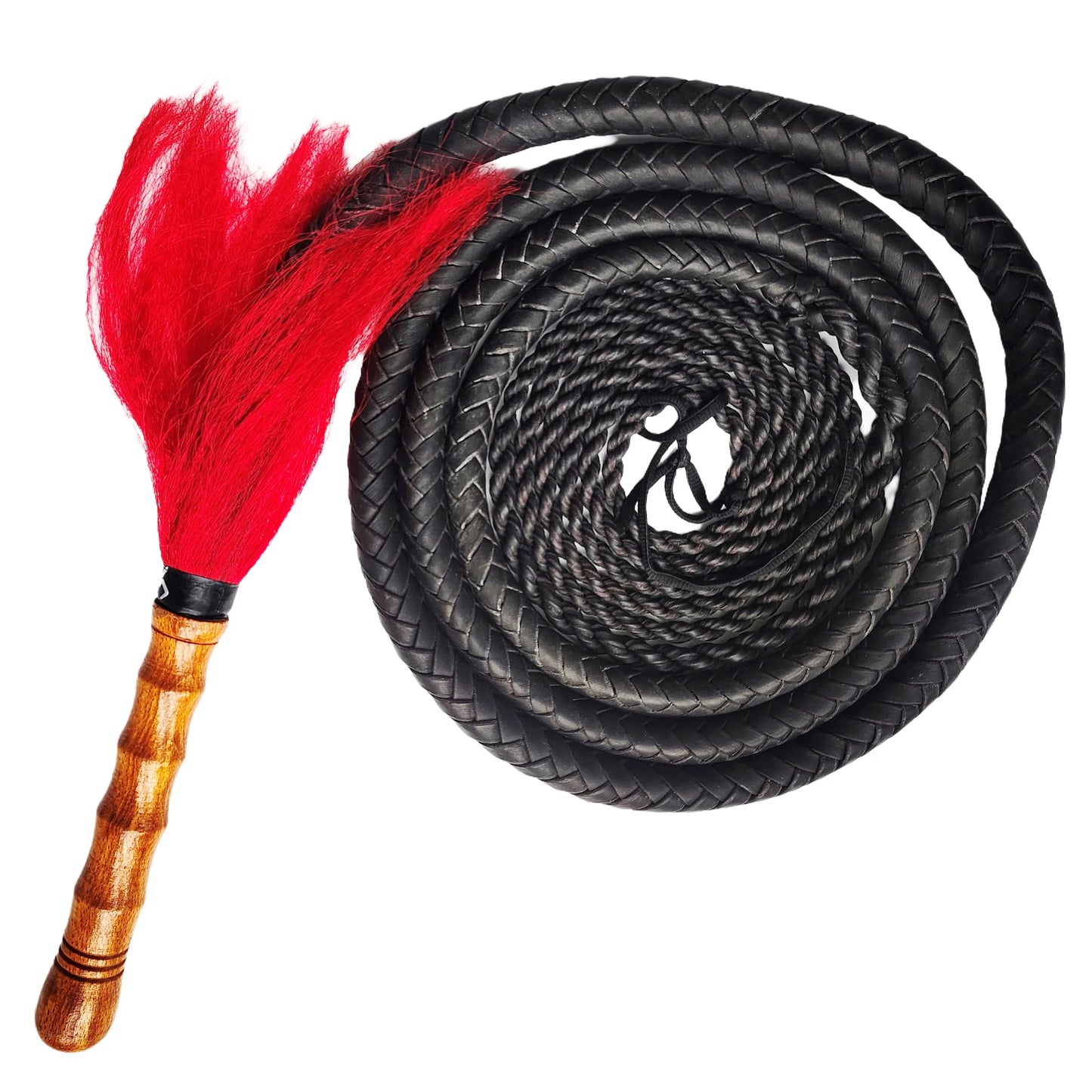 Martial Art Wushu Whip