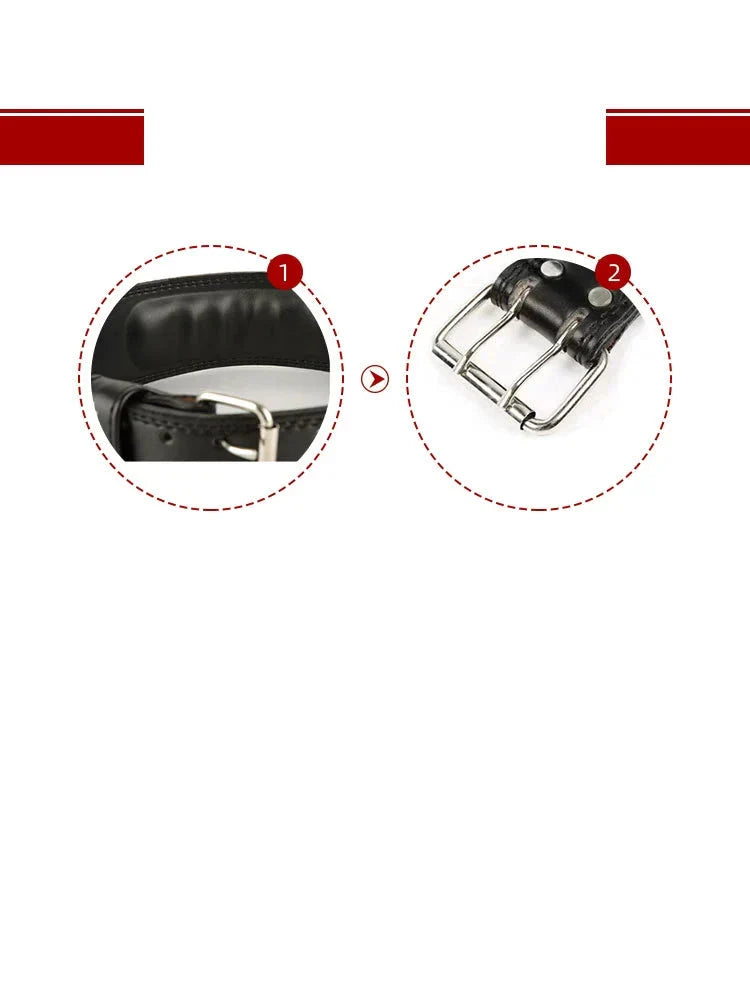 Panda Leather Powerlifting Belt – Premium Cowhide Training Belt