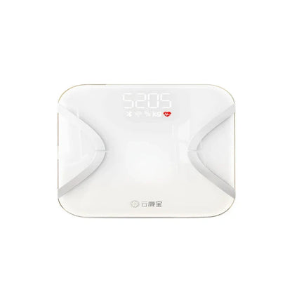 Rechargeable Body Fat Scale for Weight Loss - With Bluetooth and Wi-Fi