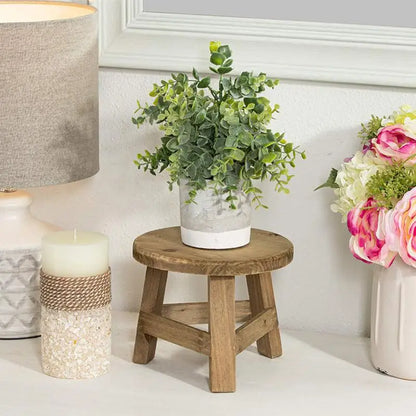 Wooden Mini Plant Stand Display - Multifunctional Home Decor Stool