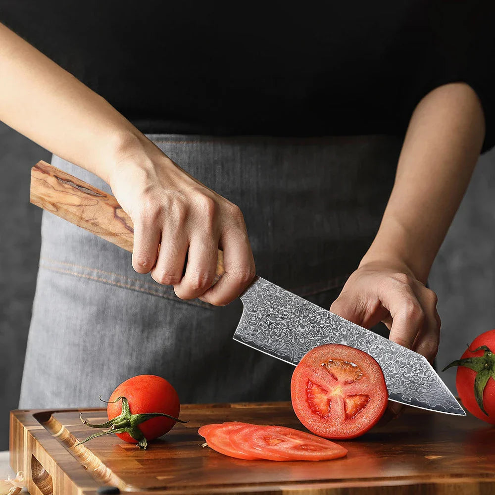 5-Inch Handmade 67-Layer Damascus Steel Chef Knife AUS-10 Core Brown