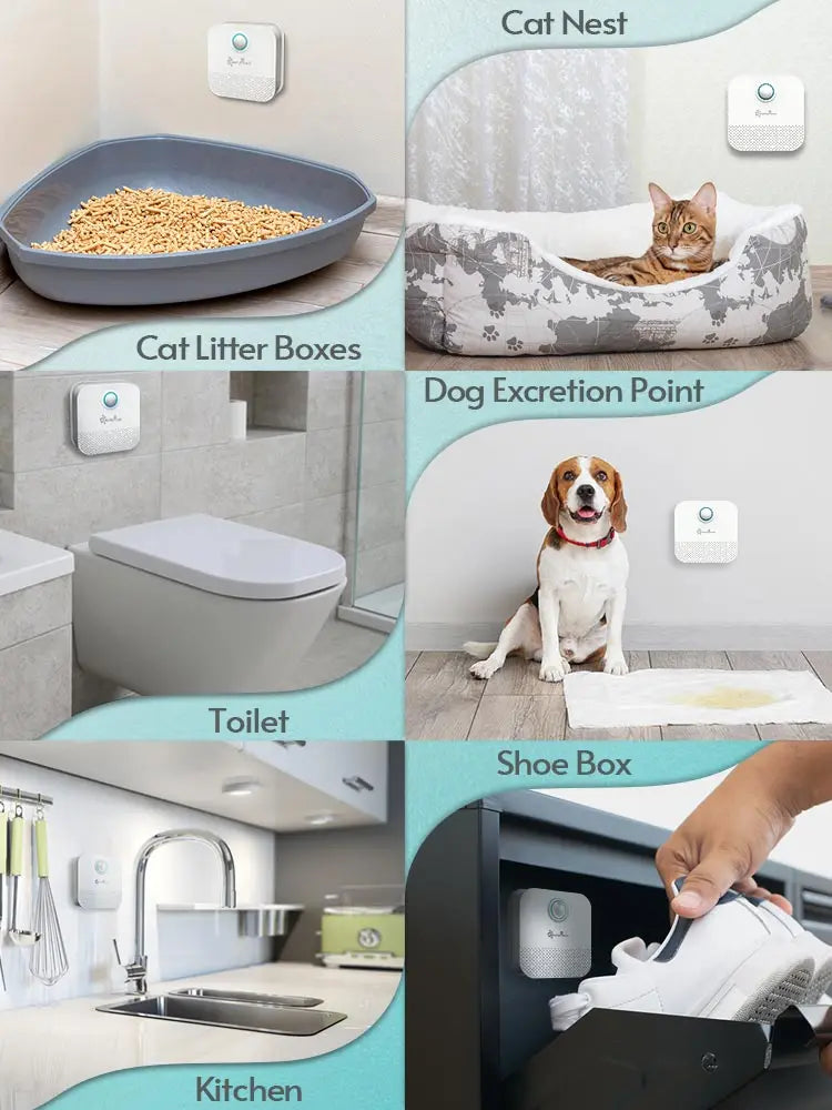 Smart Cat Litter Box Odor Purifier and Deodorizer