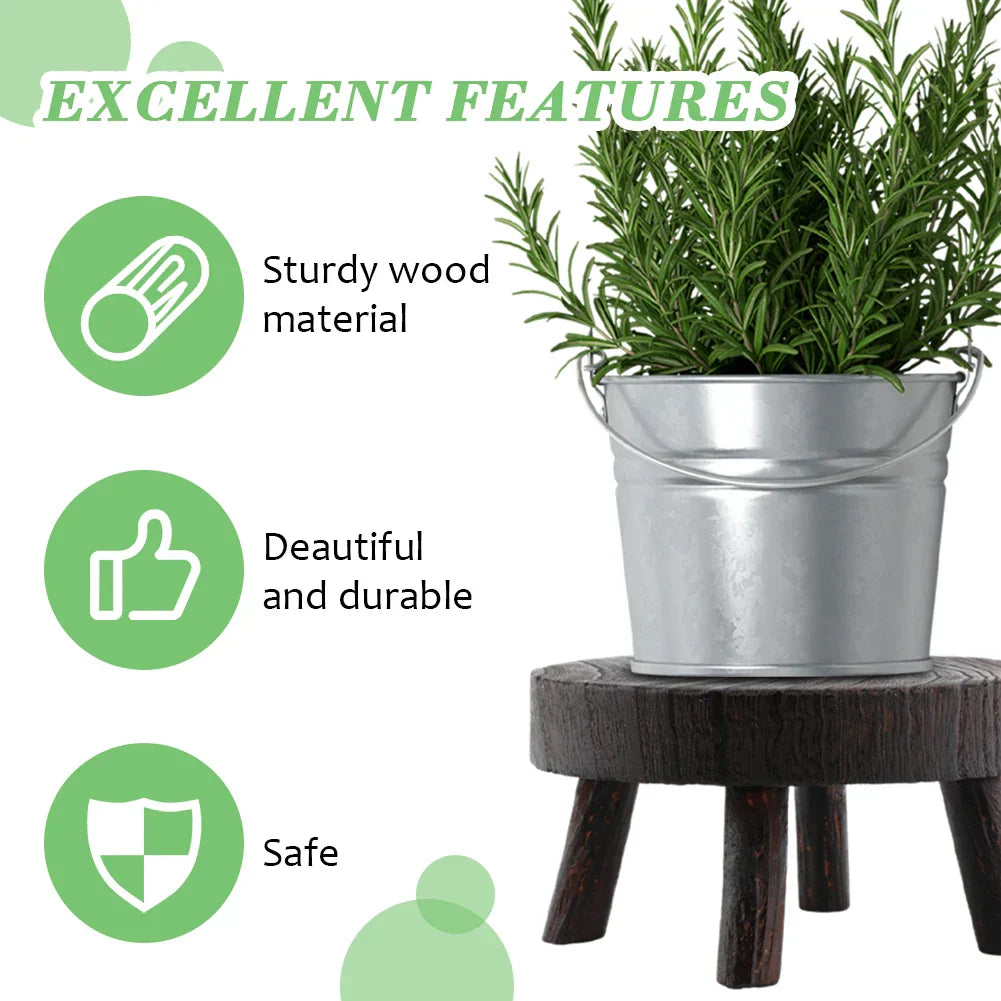 Multipurpose Wooden Stool Step Ladder for Fishing and More