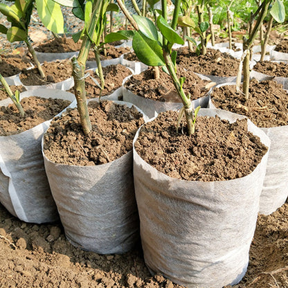 100Pcs Biodegradable Non-woven Seedling Pots