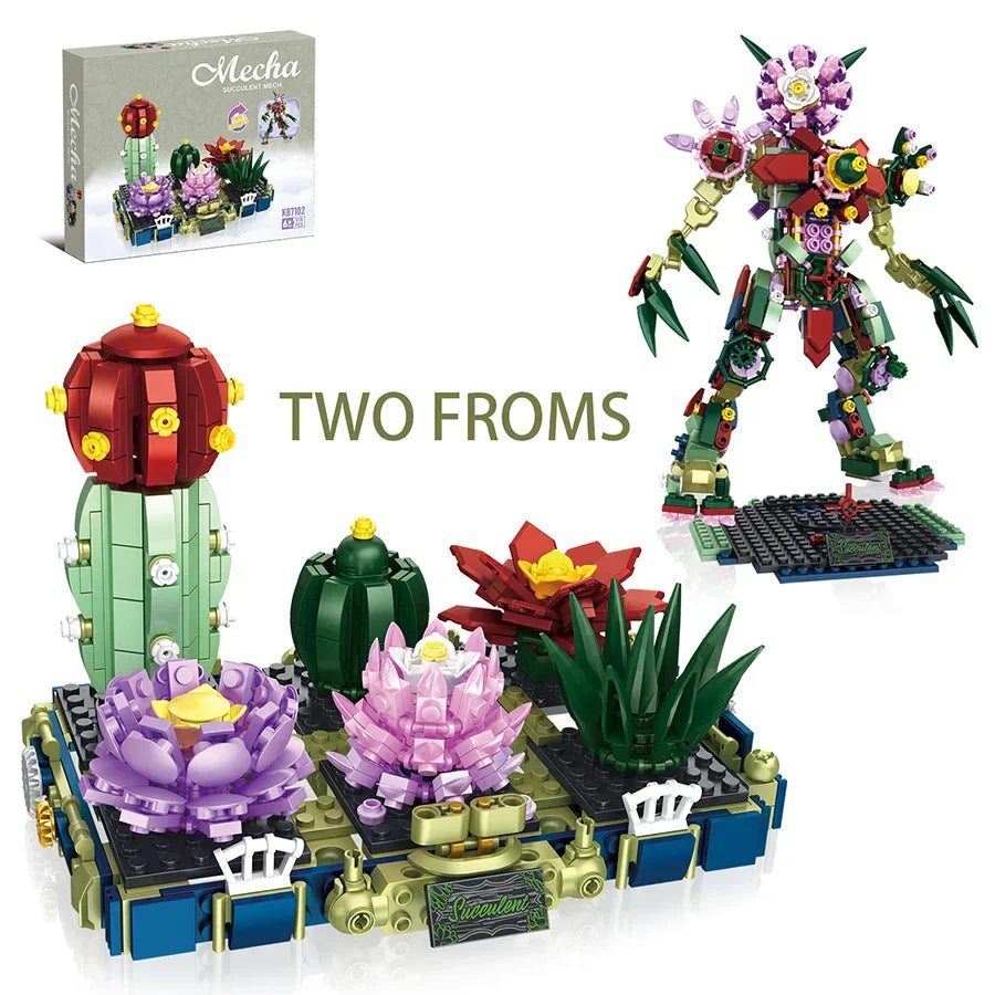 Creative Two Variations Succulents Potted Plant