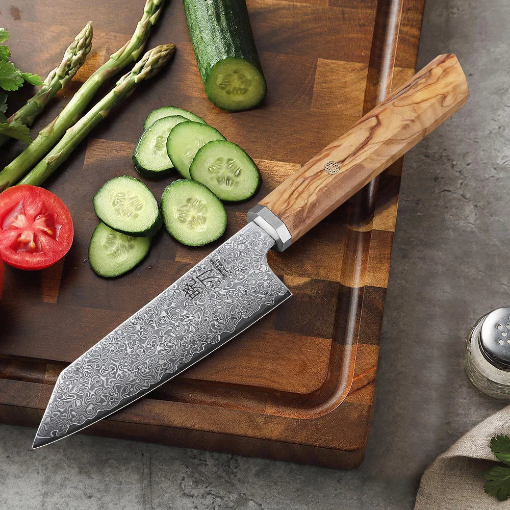 5-Inch Handmade 67-Layer Damascus Steel Chef Knife AUS-10 Core Brown