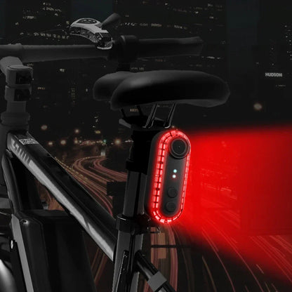 Battery-Powered Rear Cycling Camera with Tail Lamp
