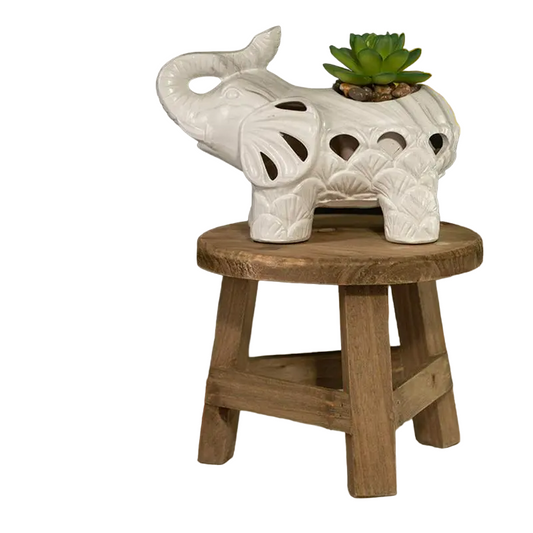 Wooden Mini Plant Stand Display - Multifunctional Home Decor Stool