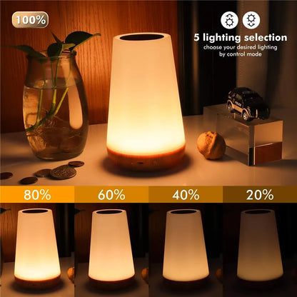 Color changing Night Lamp