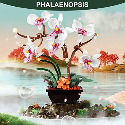 Flowers Orchid Building blocks