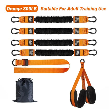 Pull-Up Bands Set 300LB Support Strap Orange