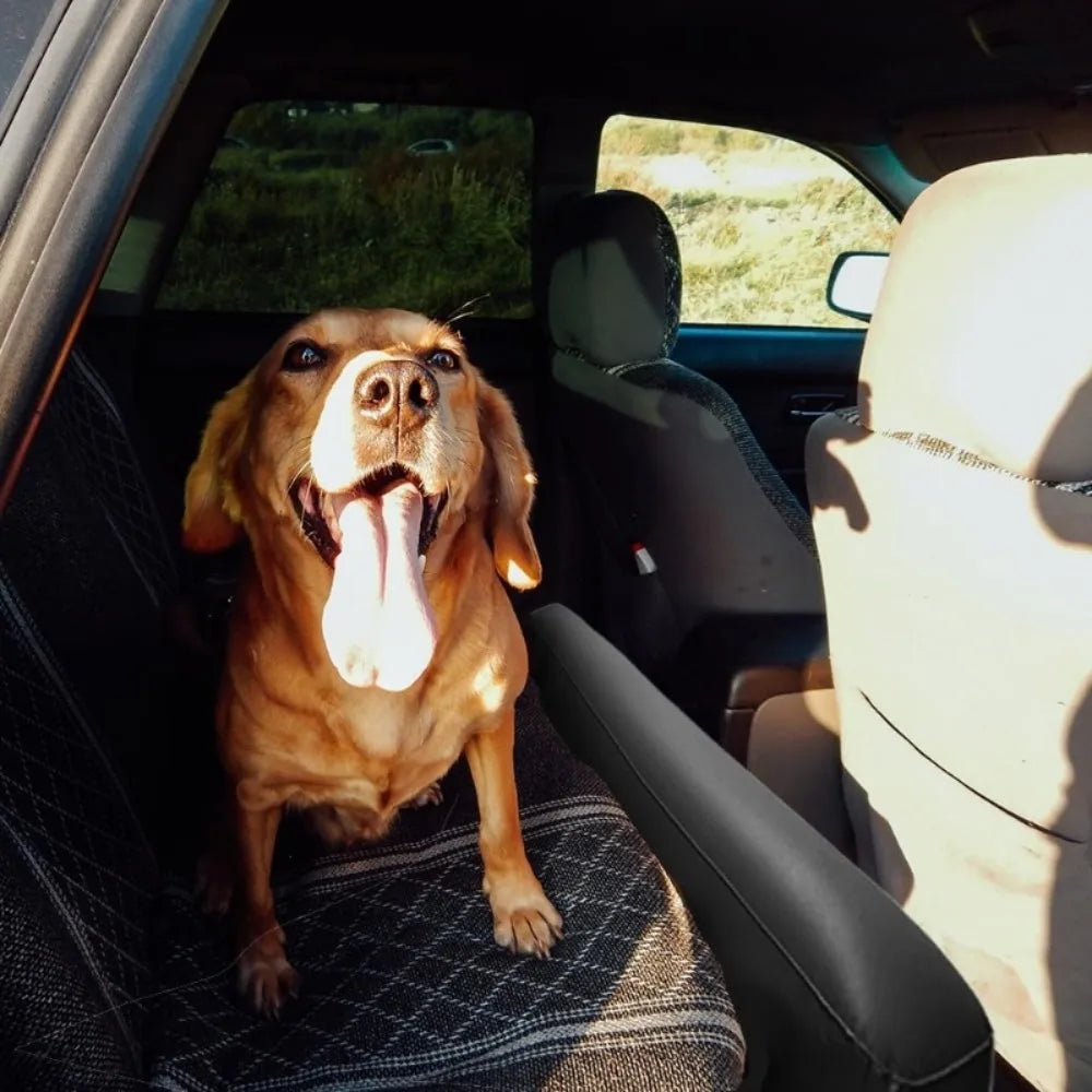 Car Travel Inflatable Bed Back Seat Air Mattress with Safety Block Black