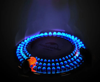 Camping Gas Stove with Electronic Ignition Silver