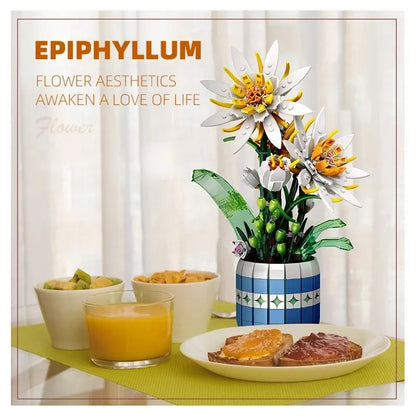 Flower Bonsai Building Blocks Epiphyllum Plant