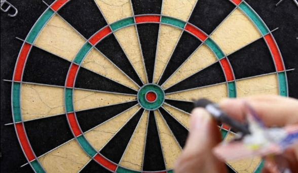 5-Piece Professional Dart Weight Set