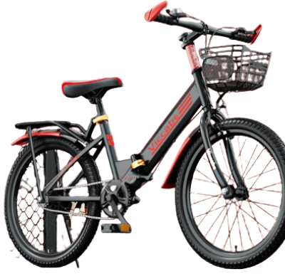 Teens' Aluminum Folding Bike with Variable Speed
