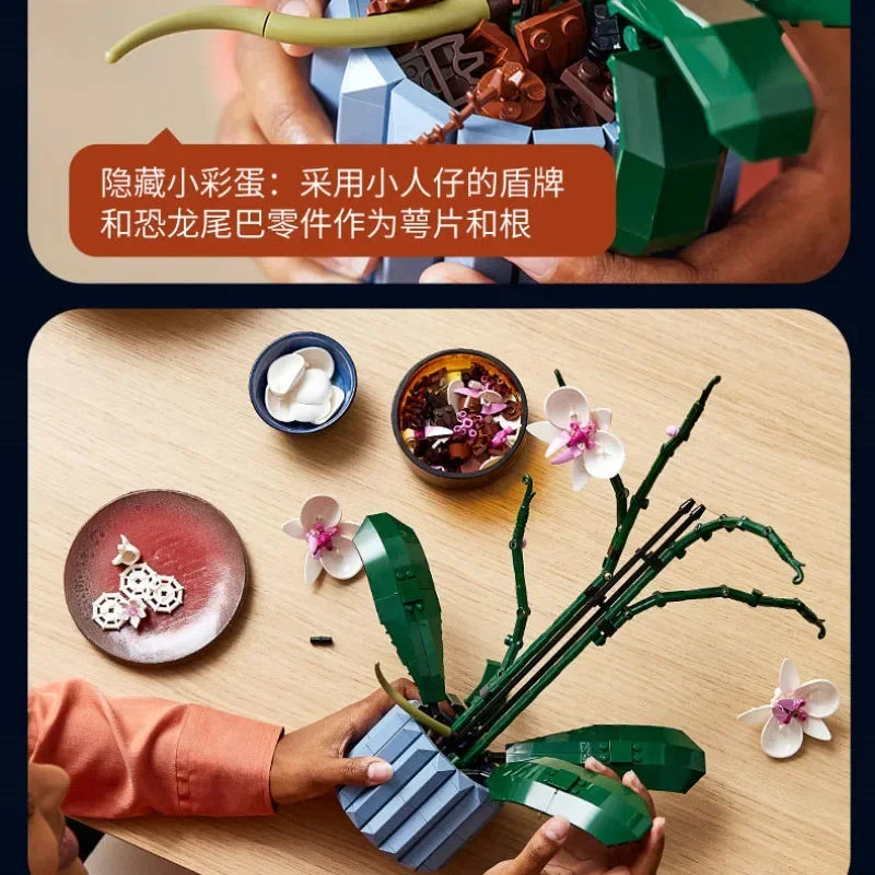 Orchid Building Blocks