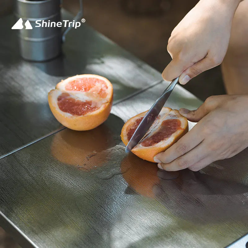 Stainless Steel Folding Table