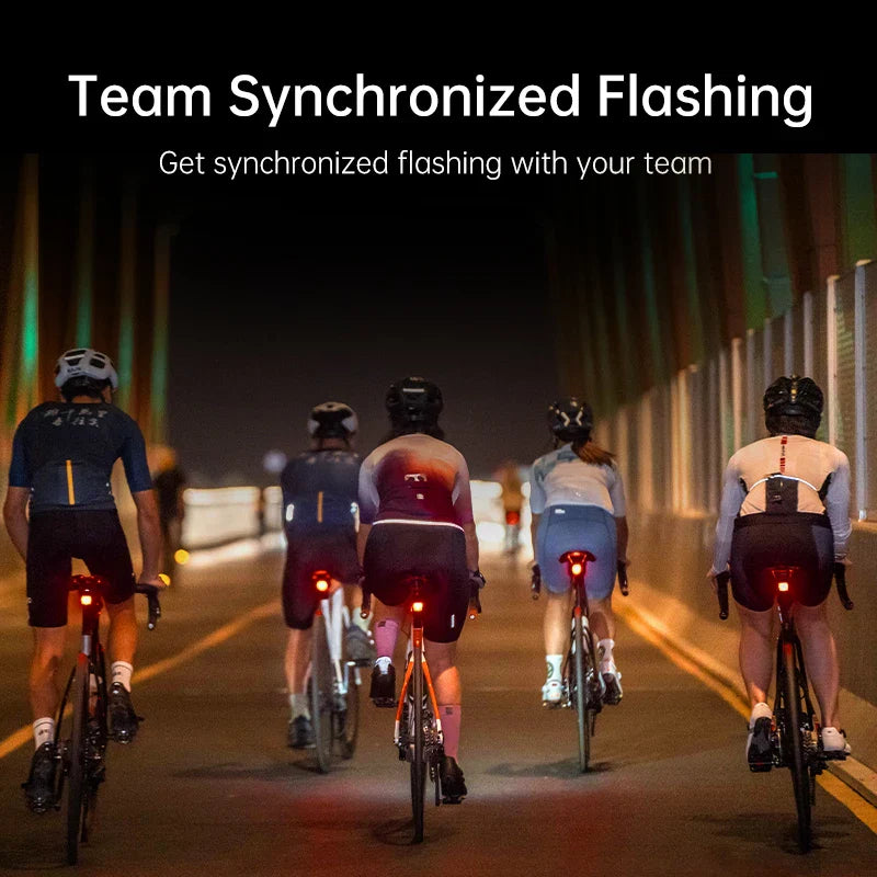 Smart Matrix Bike Tail Light Custom LED Patterns Red