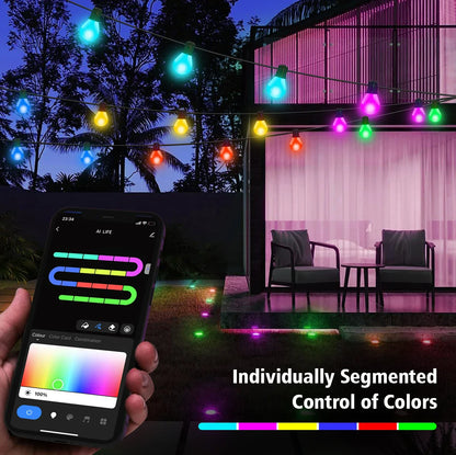 Smart WIFI LED String Lights