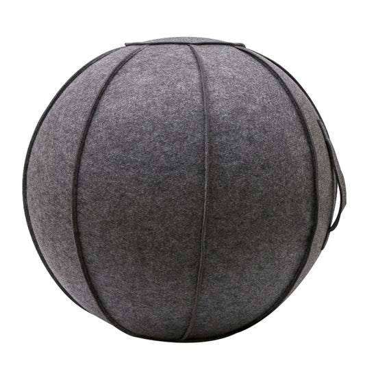 Yoga Ball Cover with Pump & Handle
