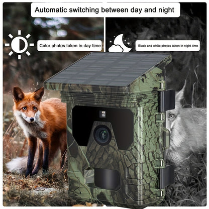 Solar-Powered 4K Wildlife Trail Cam Hunting Camera