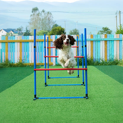 Dog Agility Training Set for Pets
