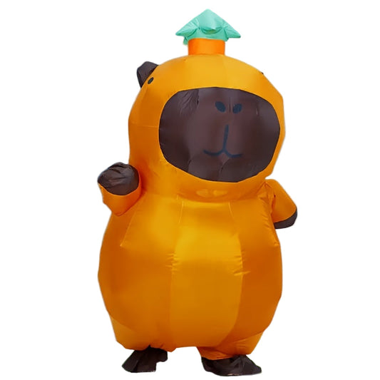 Orange Bear Costume with Green Hat