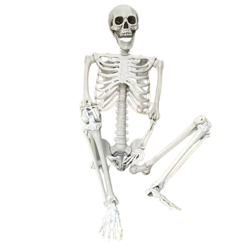Faux Skeleton Sculpture: Spooky Halloween Decor