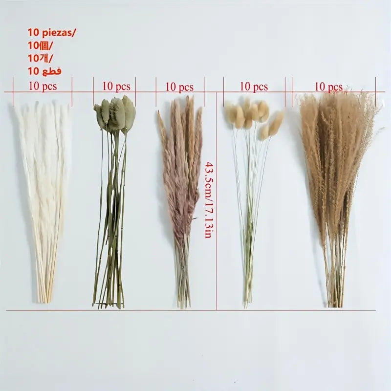 Real Touch Dried Flower Set - 50pcs Artificial Rabbit Tail Reed Set (90cm)