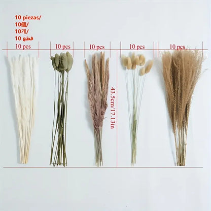 Real Touch Dried Flower Set - 50pcs Artificial Rabbit Tail Reed Set (90cm)