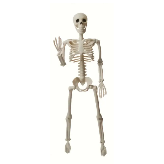Halloween Skeleton Decoration with Movable Joints