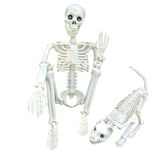 Halloween Skeleton & Cat Decoration Set (2pcs)