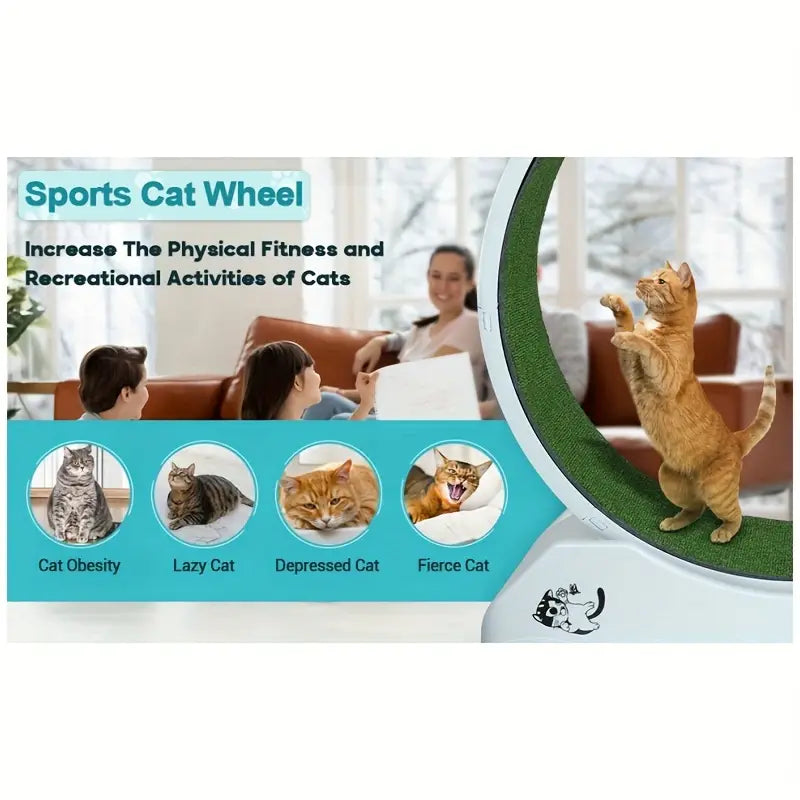 Pet Fitness Wheel - Interactive Treadmill for Cats and Dogs Grey