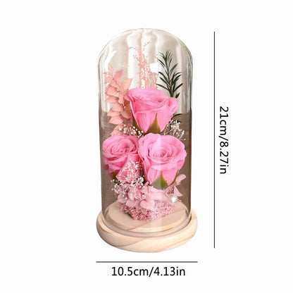 Rose in Glass Dome Valentines Mothers Birthday Gift