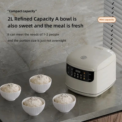 Mini Rice Cooker with Timer