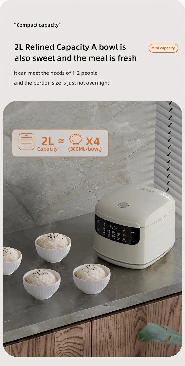 Mini Rice Cooker with Timer